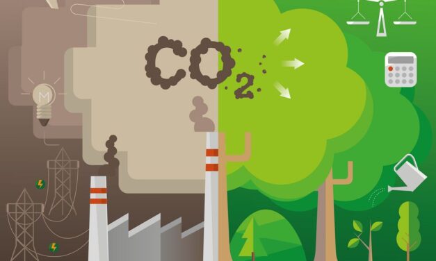 Tool zur Berechnung des CO2-Fußabdrucks
