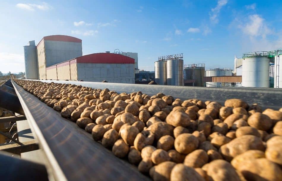 Agrana wird am Standort der Kartoffelstärkefabrik in Gmünd in Österreich eine zusätzliche Walzentrocknungsanlage errichten