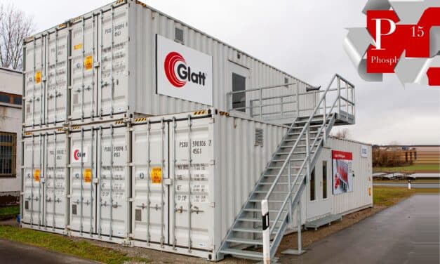 Phosphorrecycling mit Schwermetallabreicherung